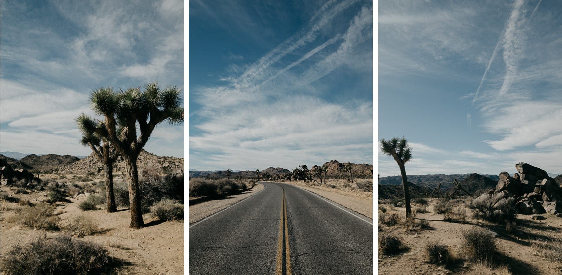 California by iPhone – Hochzeit – Bild 39