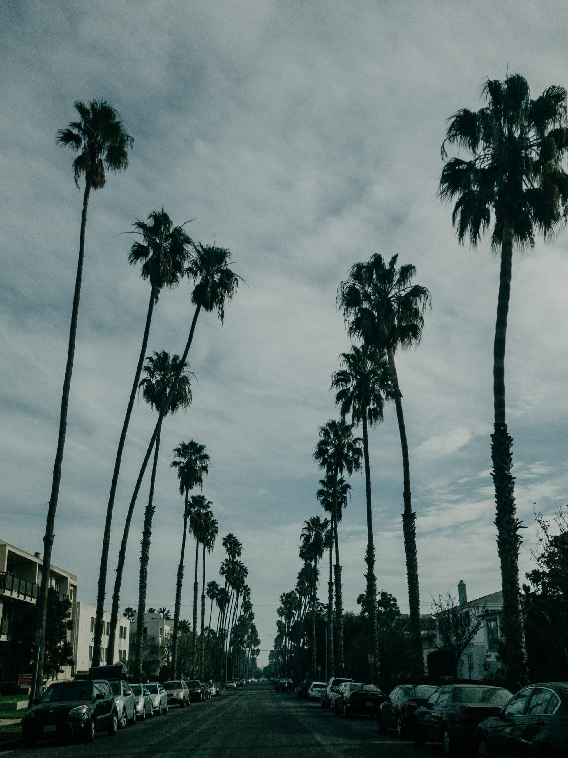 California by iPhone – Hochzeit – Bild 10
