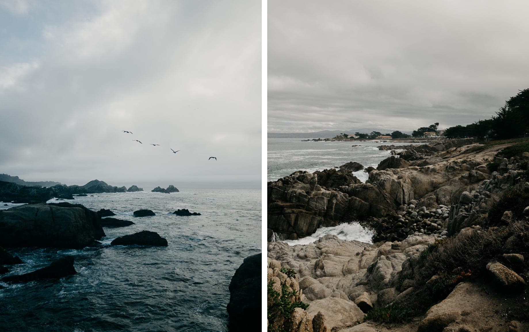 California by iPhone – Hochzeit – Bild 12